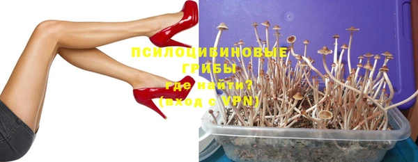 ПСИЛОЦИБИНОВЫЕ ГРИБЫ Алексин