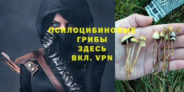 ПСИЛОЦИБИНОВЫЕ ГРИБЫ Алексин